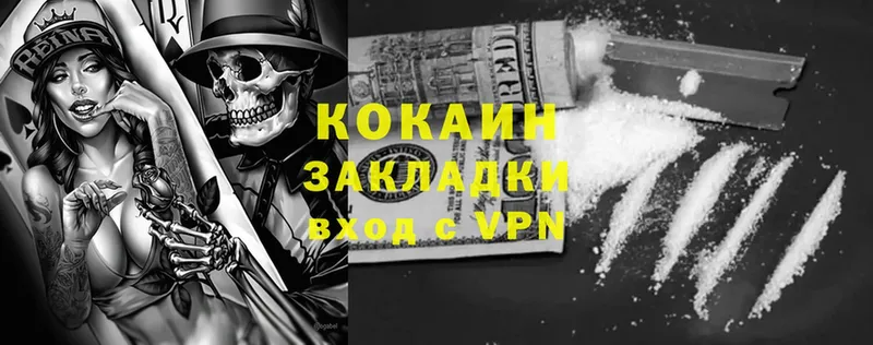 купить наркотики цена  Малая Вишера  COCAIN Эквадор 